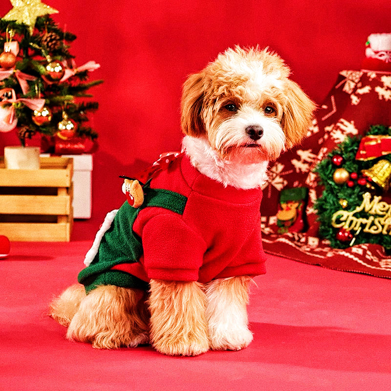 Christmas costumes for dogs