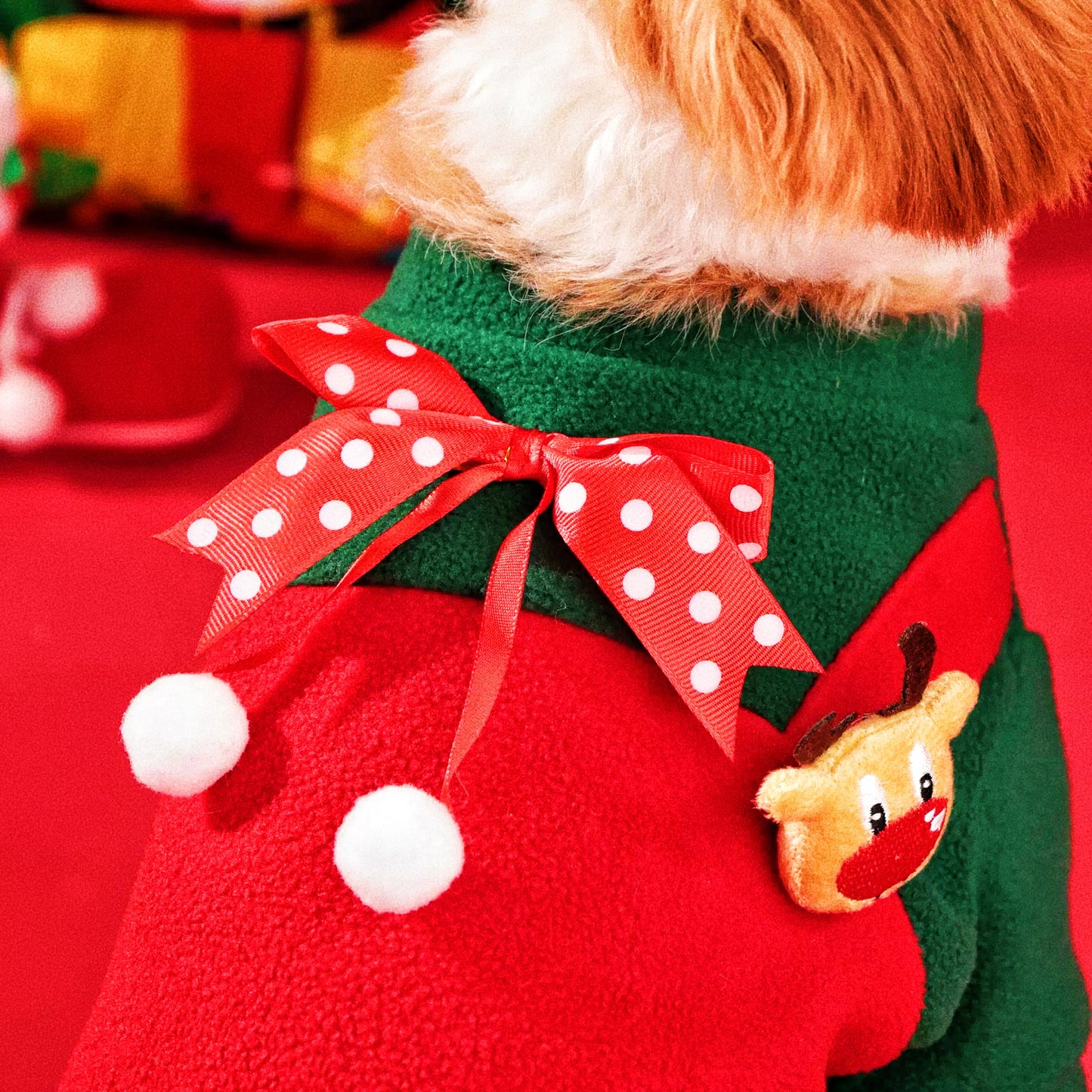 Christmas costumes for dogs