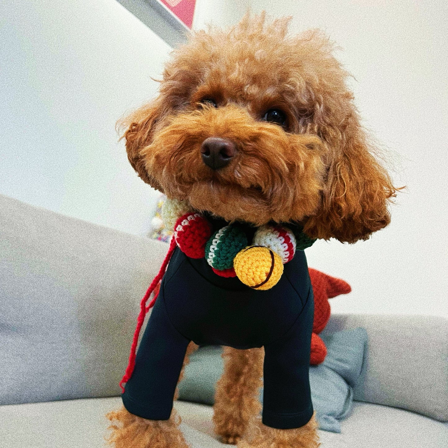 Christmas pet collar