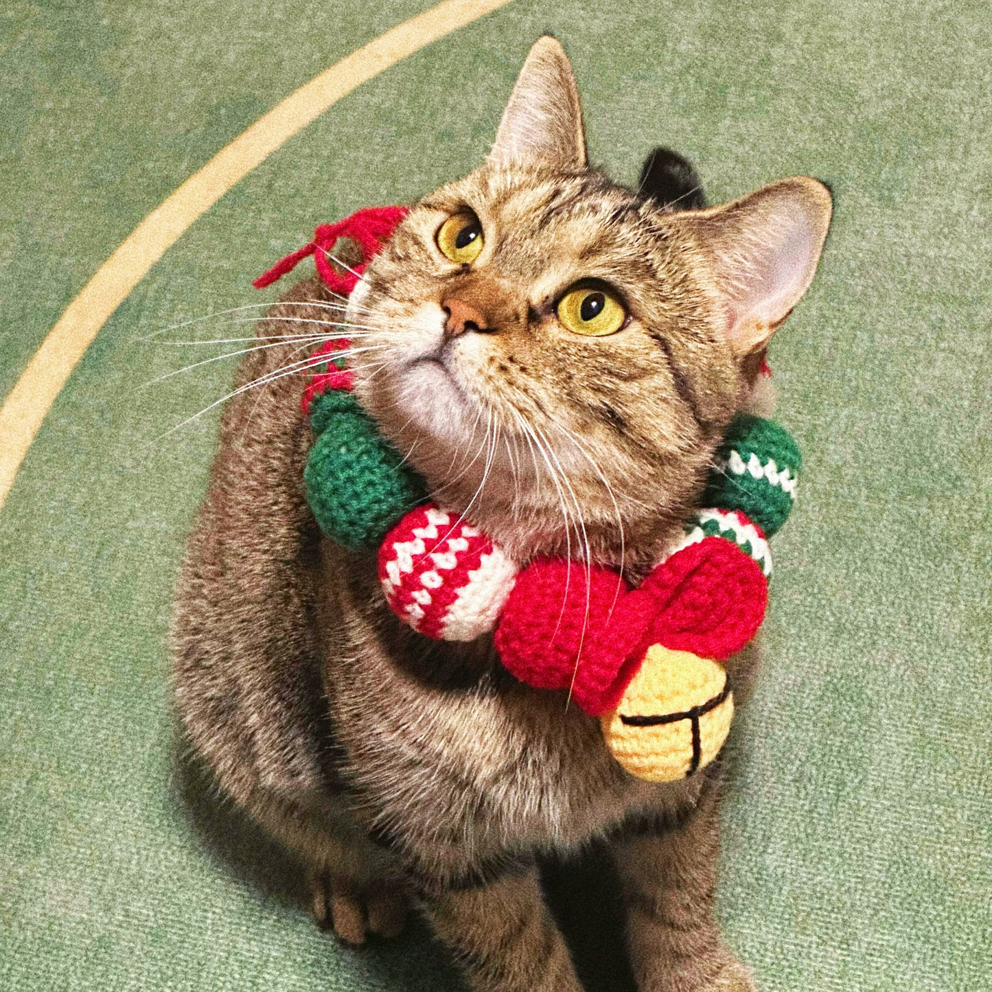 Christmas pet collar