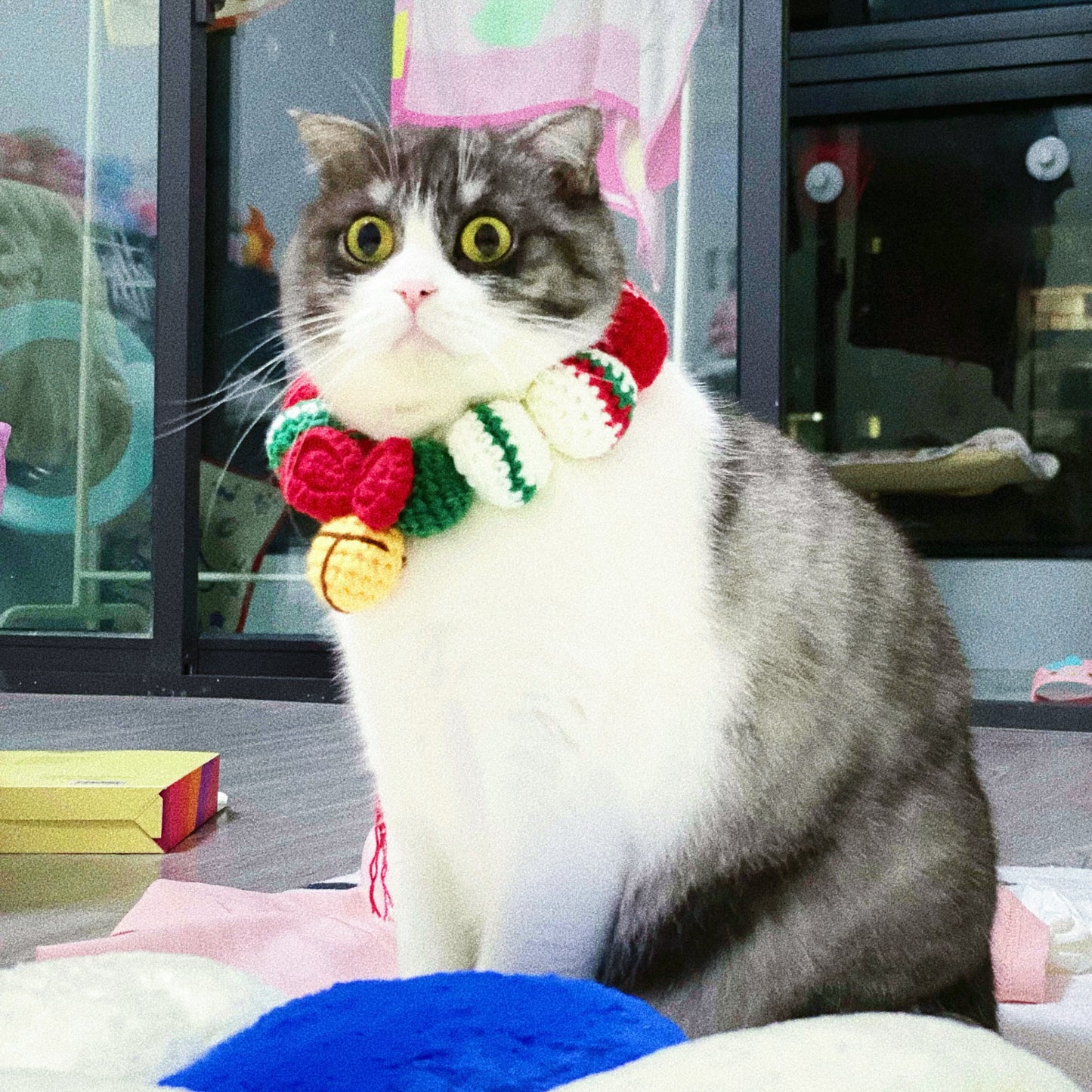 Christmas pet collar