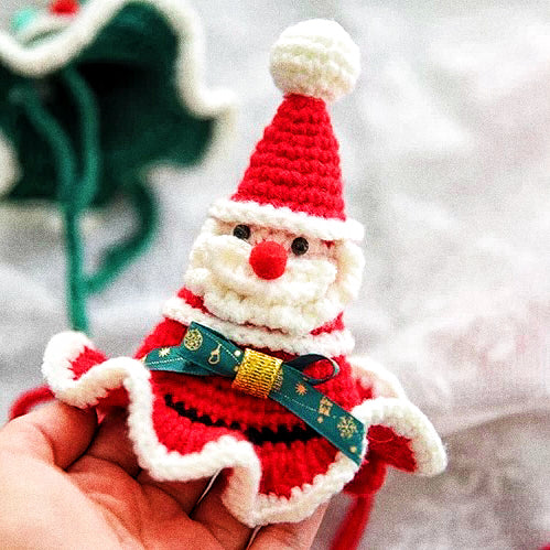 Pet Christmas hat