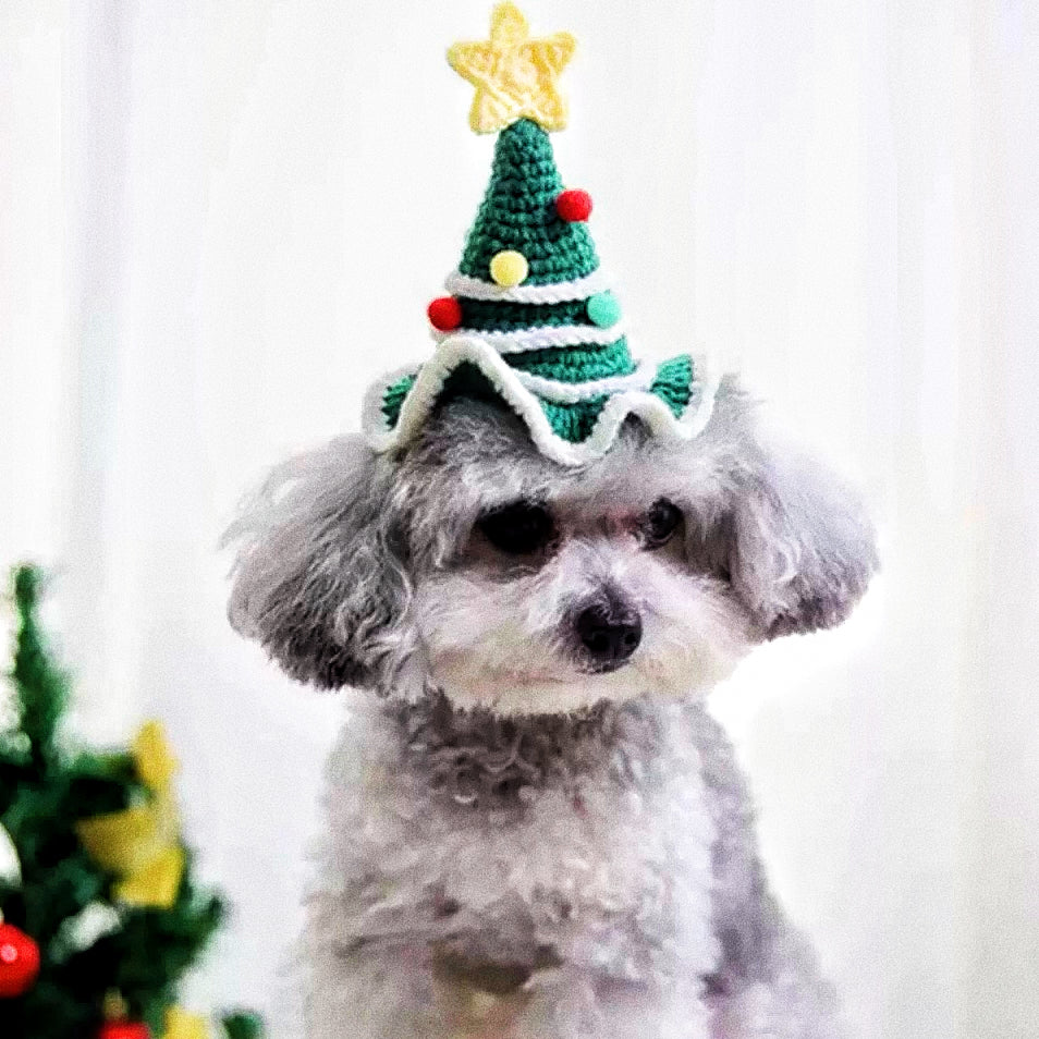 Pet Christmas hat