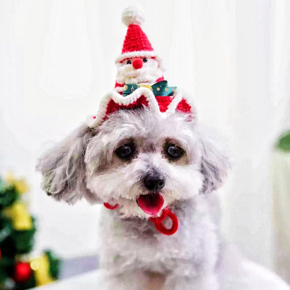 Pet Christmas hat
