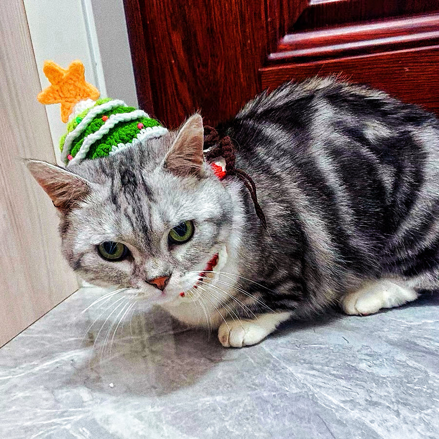 Pet Christmas hat