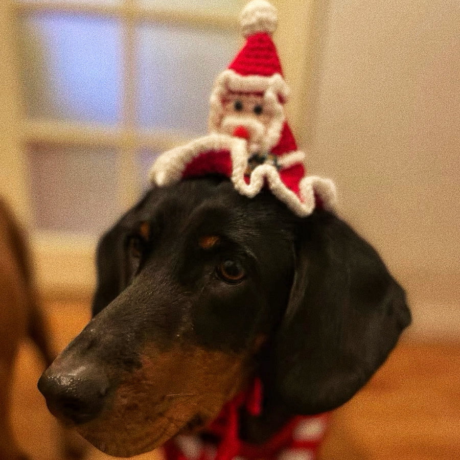 Pet Christmas hat