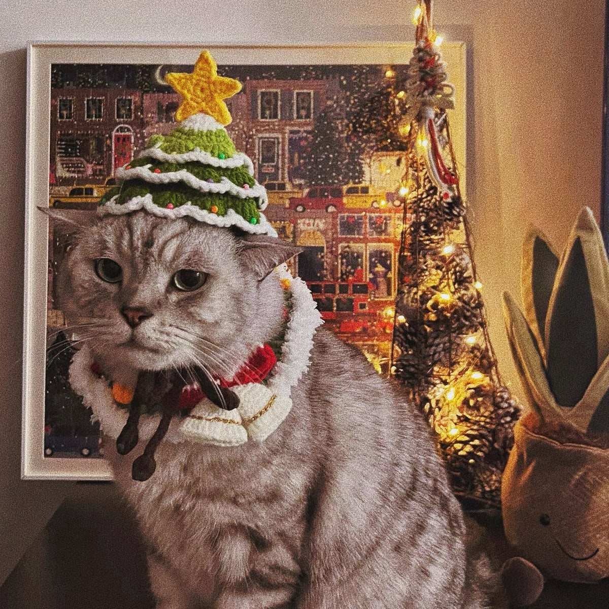 Pet Christmas hat
