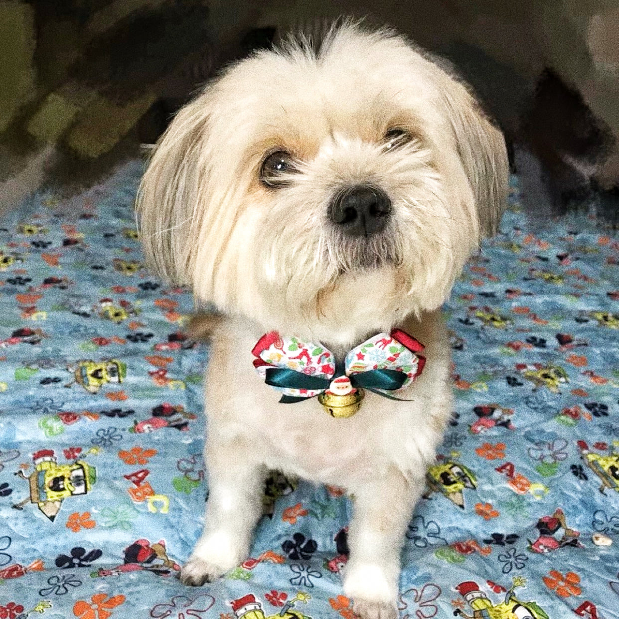 Pet Christmas bow
