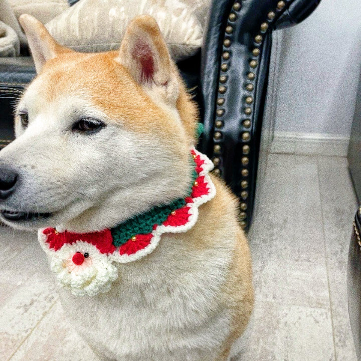 Christmas collar for pets