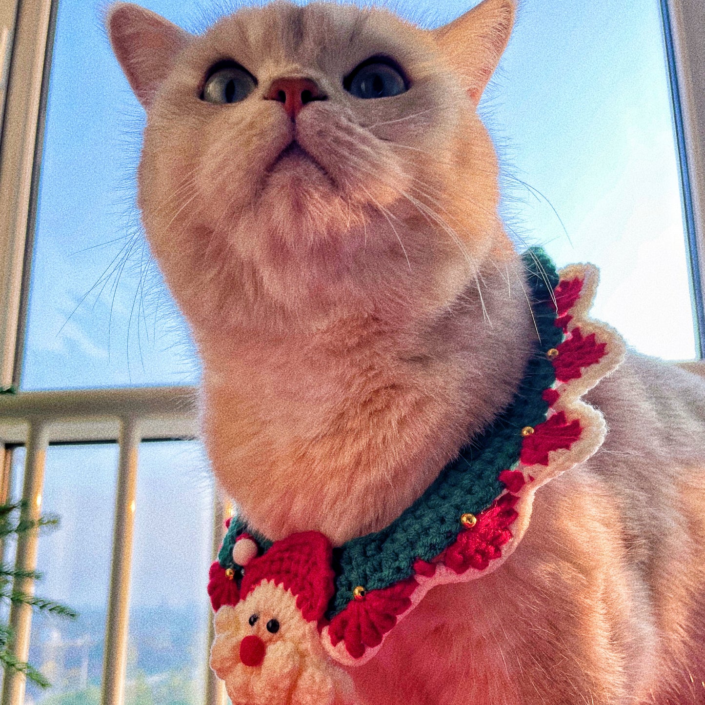 Christmas collar for pets