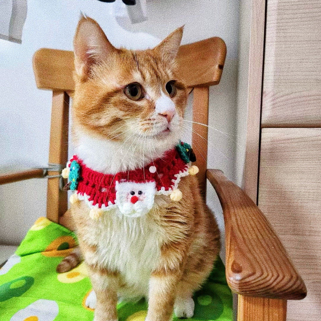 Christmas collar for pets