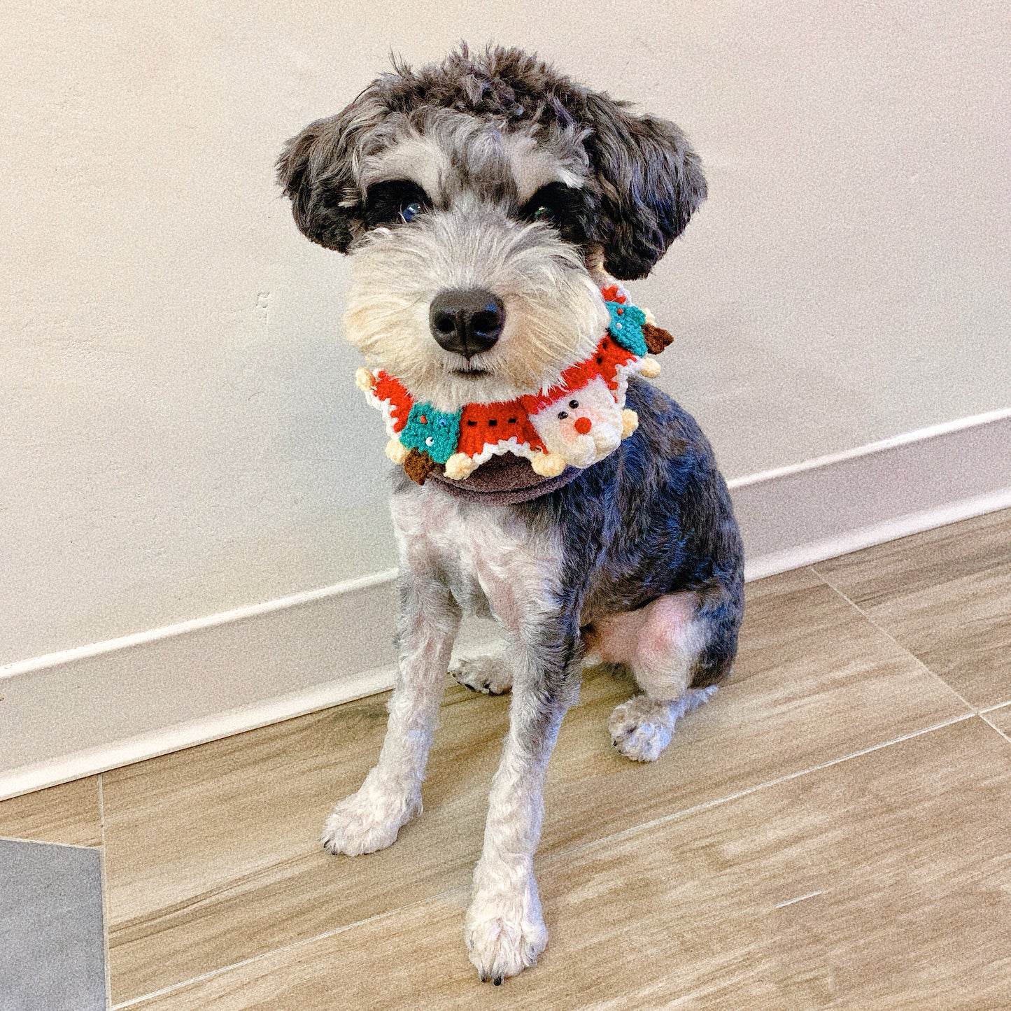 Christmas collar for pets