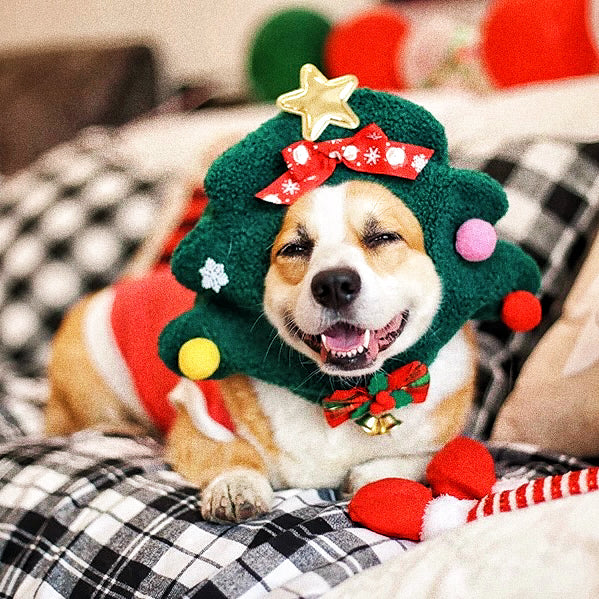 Pet Christmas hat