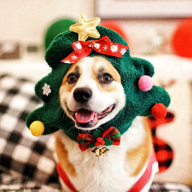 Pet Christmas hat