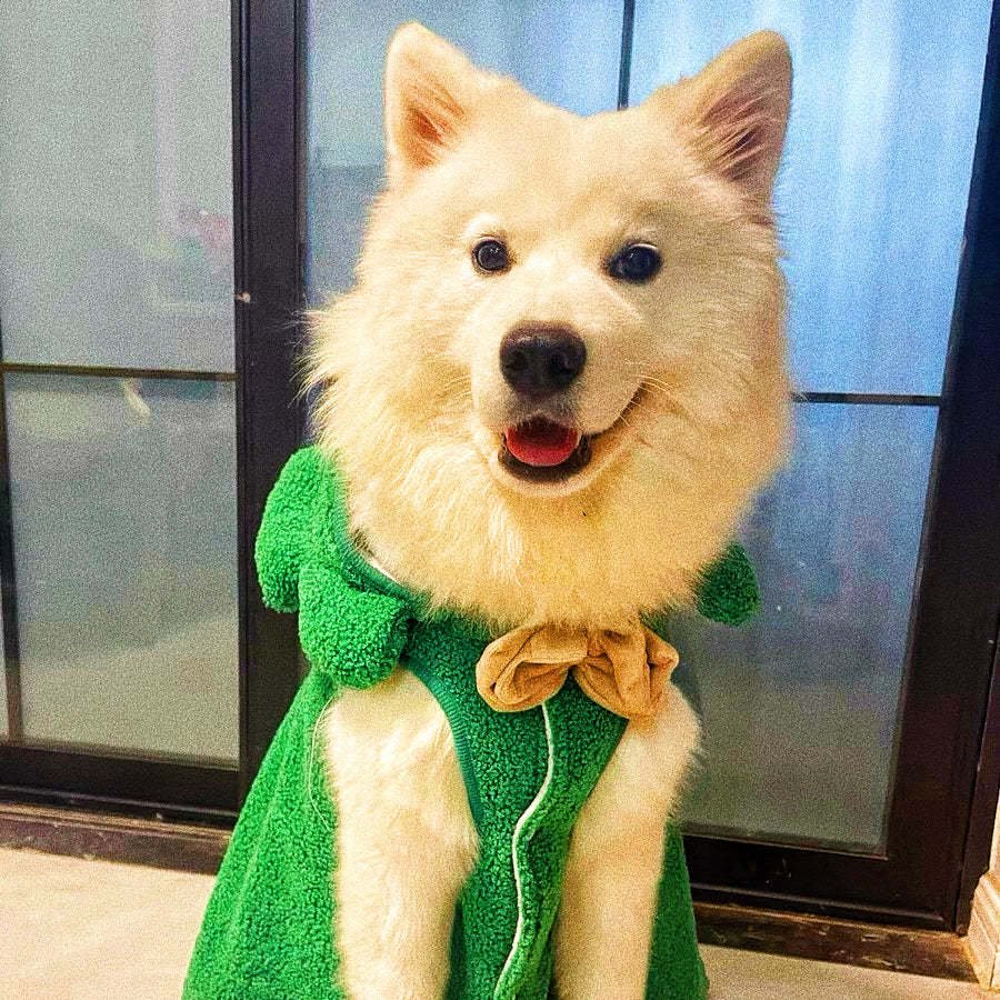 Christmas hoodie for pets
