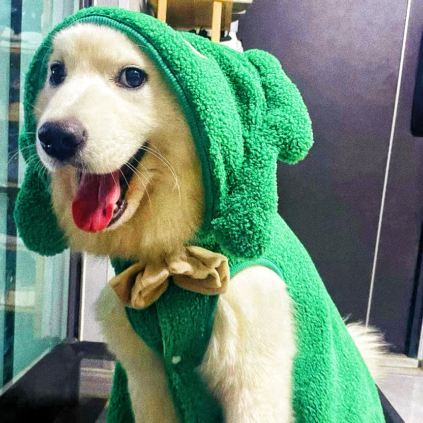 Christmas hoodie for pets