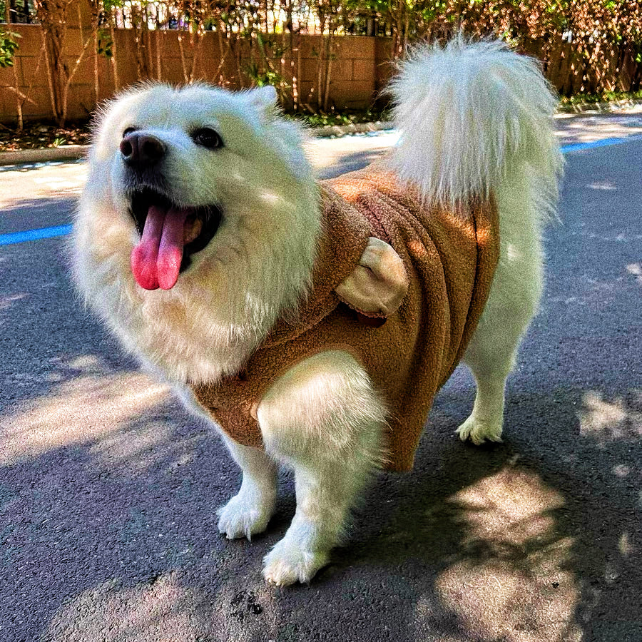 Christmas hoodie for pets