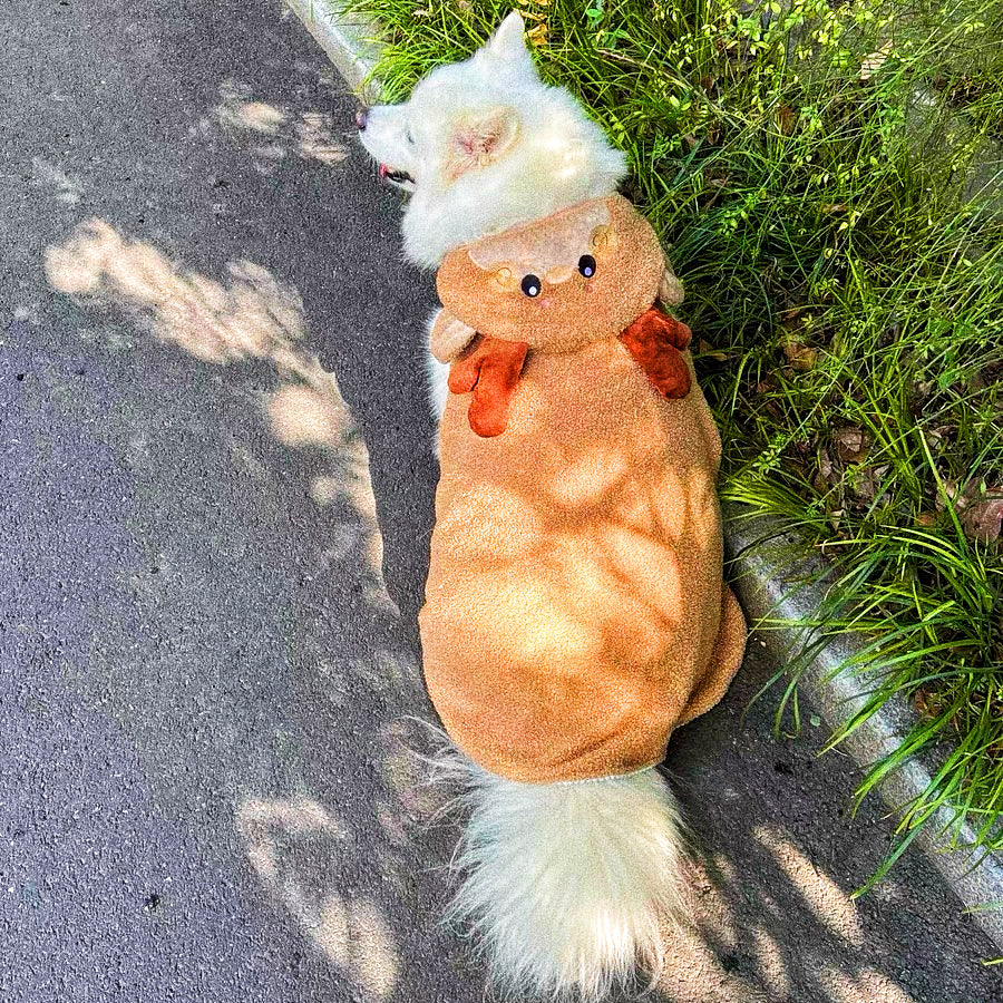Christmas hoodie for pets