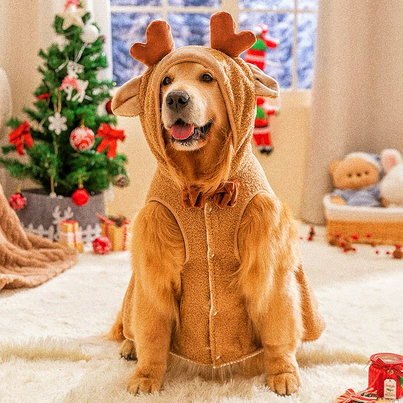 Christmas hoodie for pets