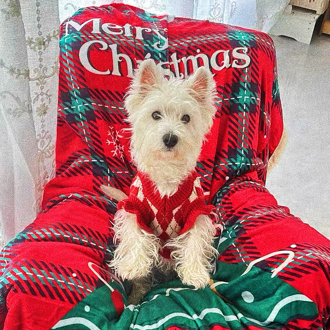 Christmas sweater for pets