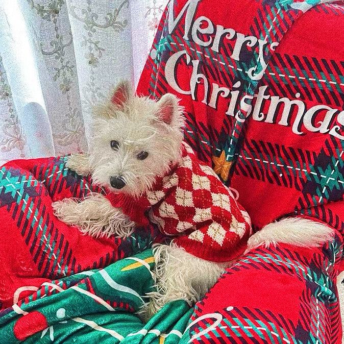 Christmas sweater for pets