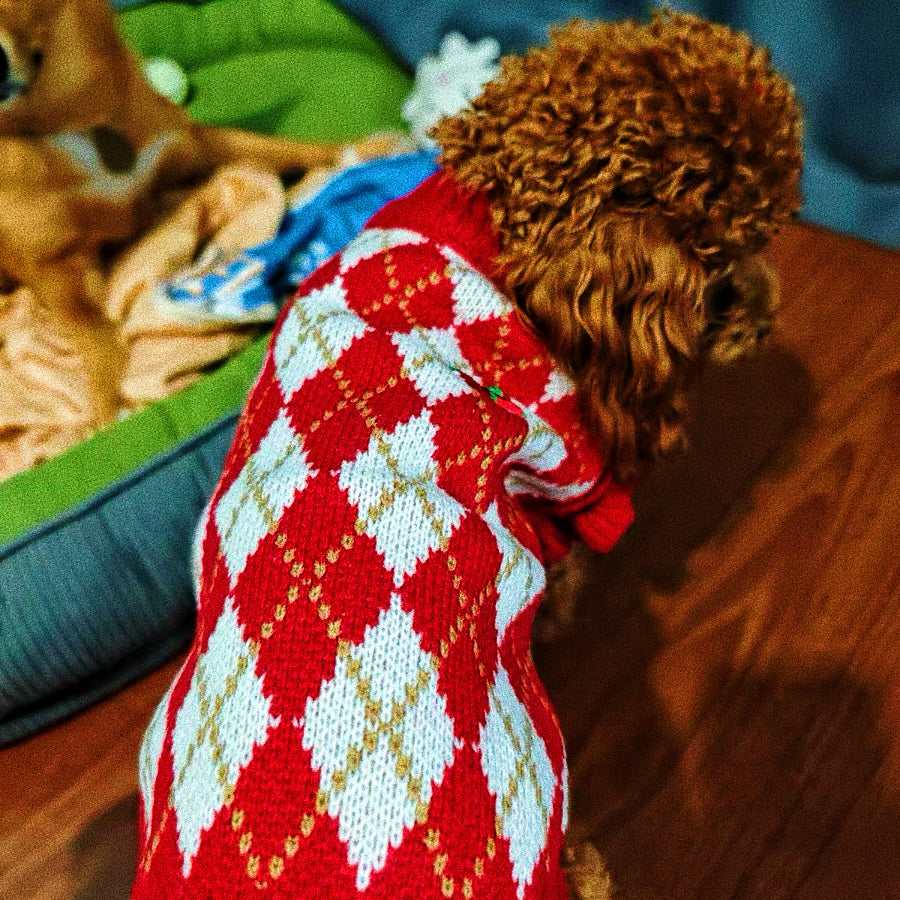 Christmas sweater for pets