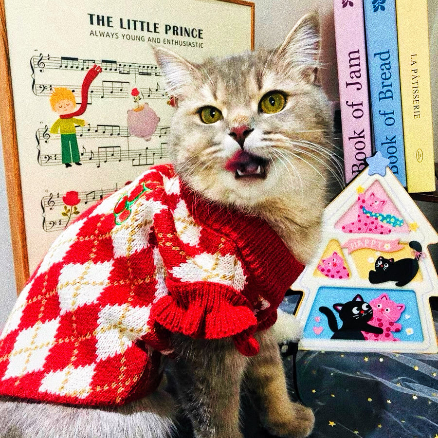 Christmas sweater for pets