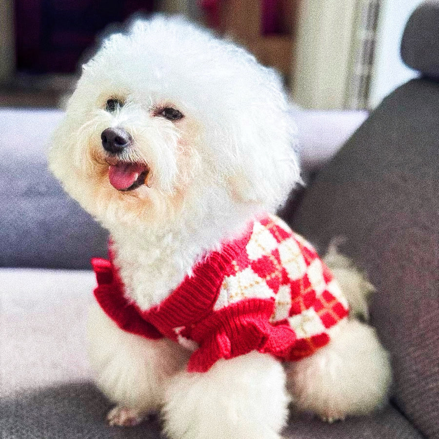 Christmas sweater for pets