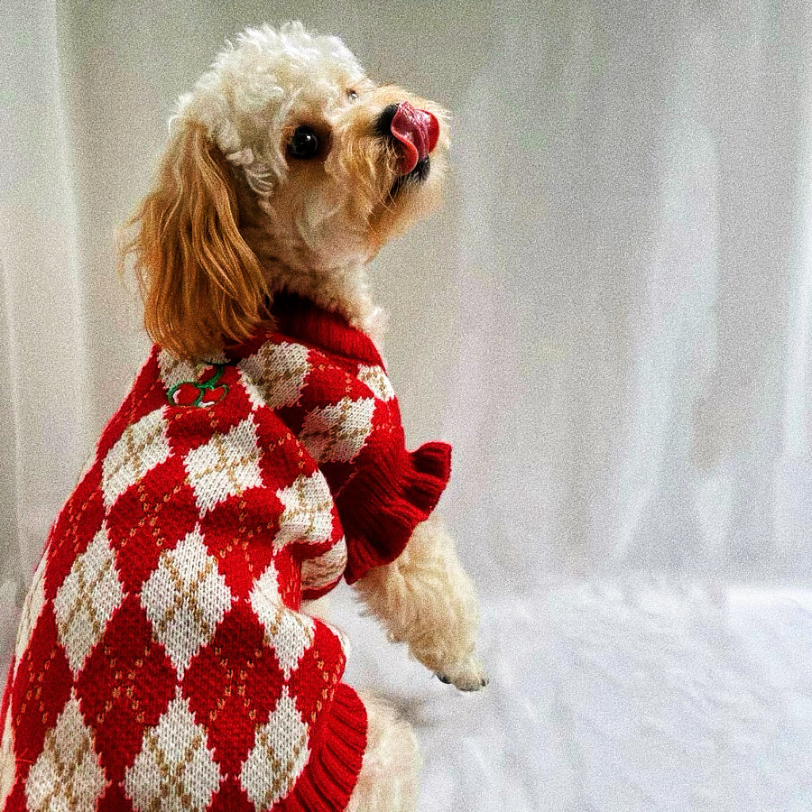 Christmas sweater for pets