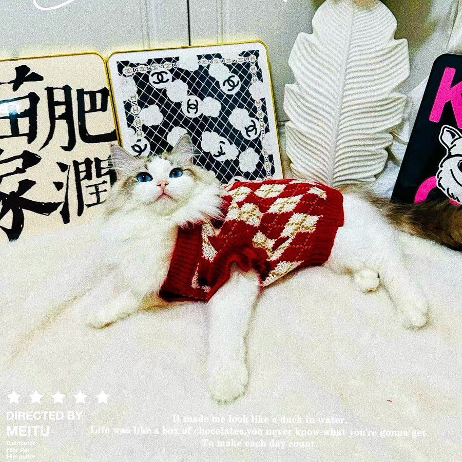 Christmas sweater for pets