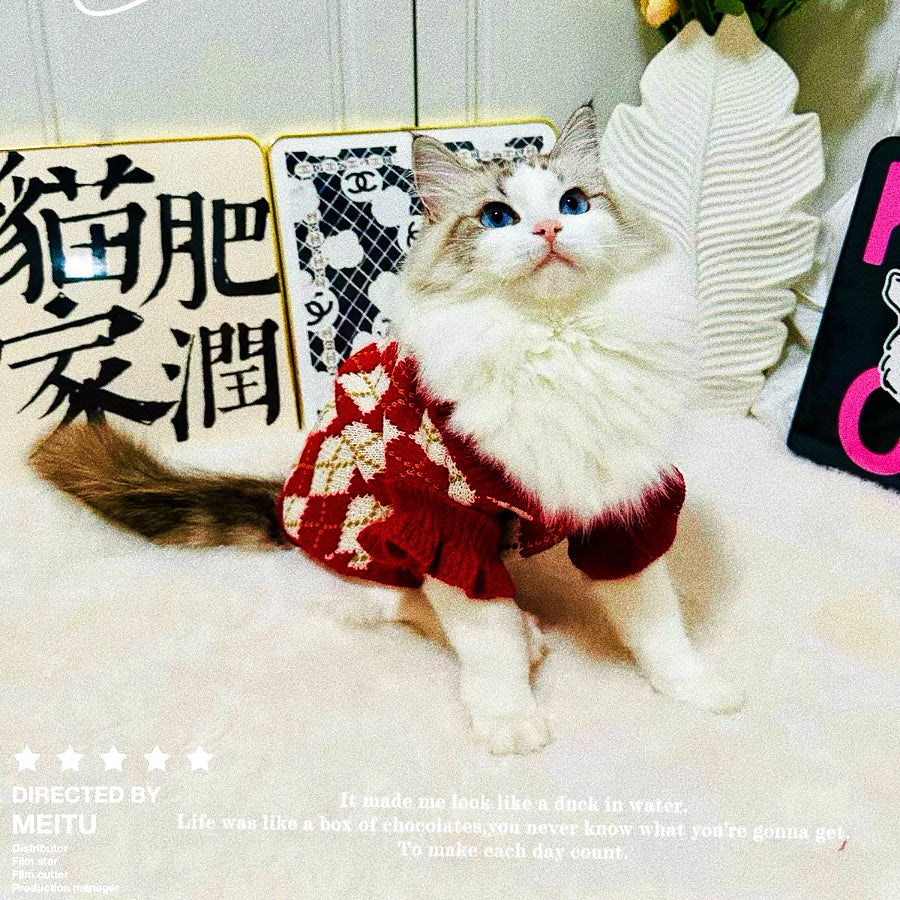 Christmas sweater for pets