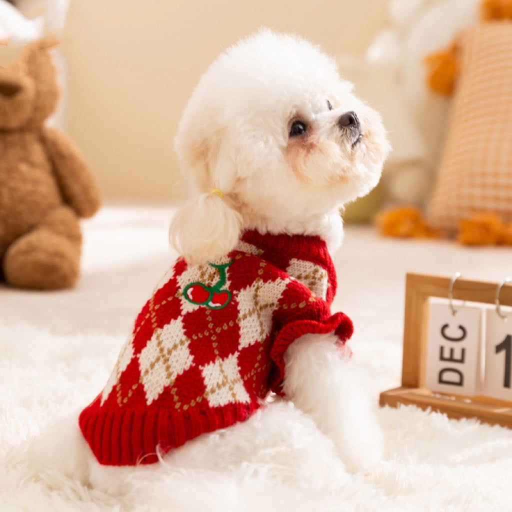 Christmas sweater for pets