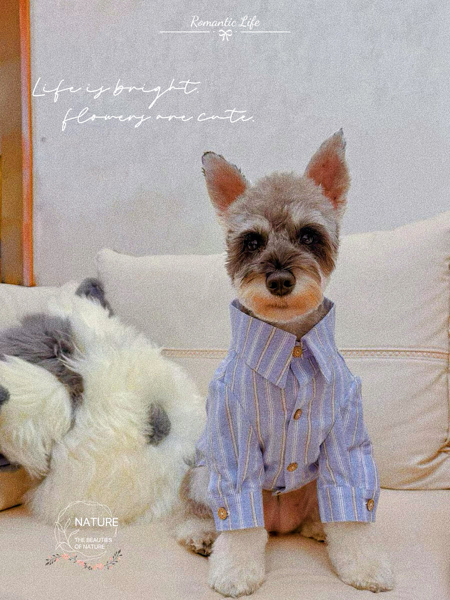 Pet handsome boyfriend style shirt