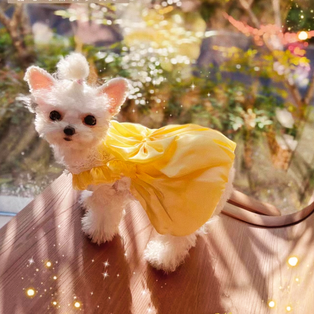Dog Princess dress