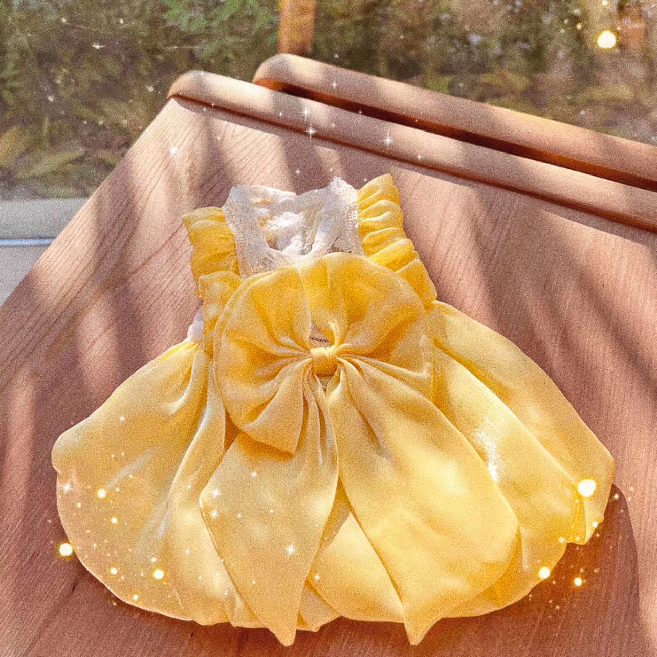 Dog Princess dress
