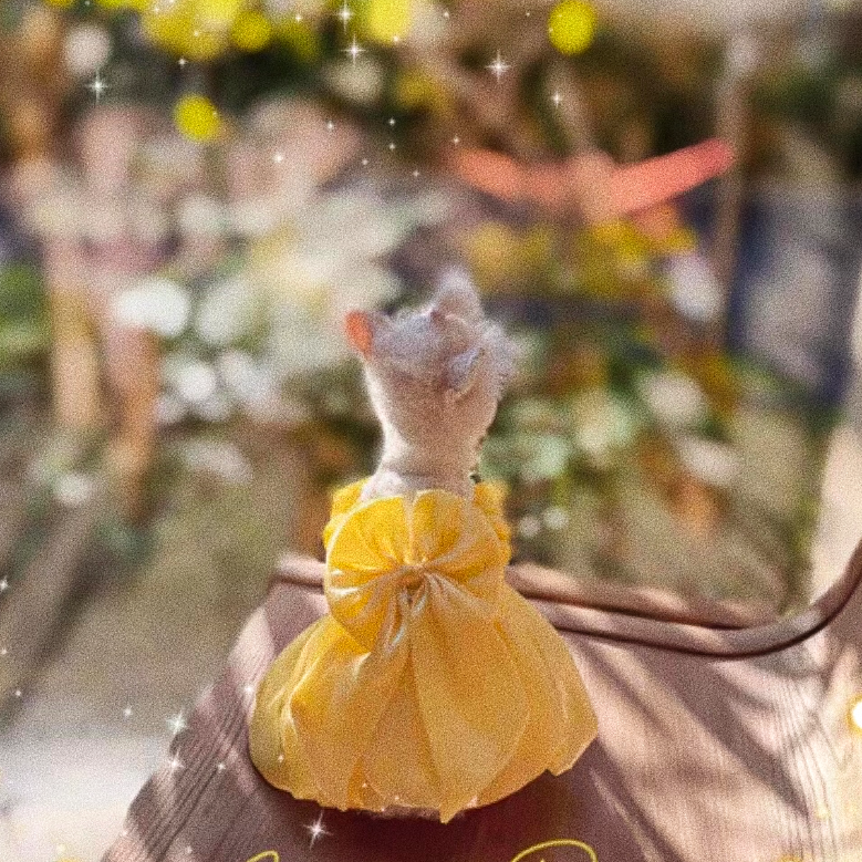 Dog Princess dress