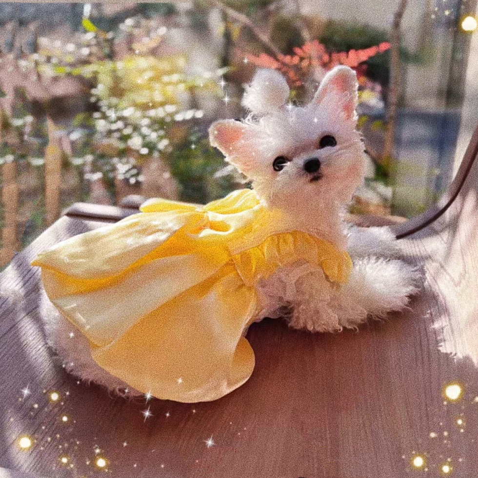 Dog Princess dress