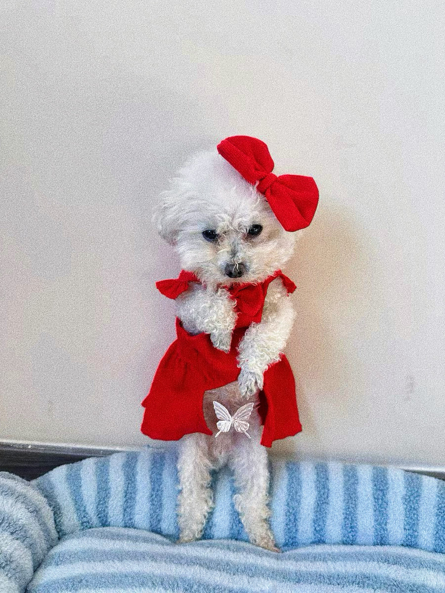 Pet's red Mickey Princess dress