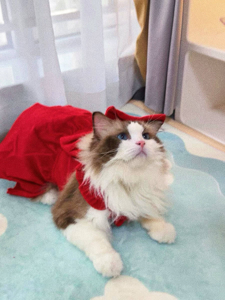 Pet's red Mickey Princess dress