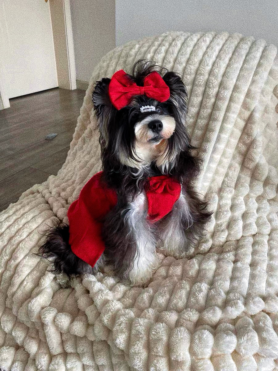 Pet's red Mickey Princess dress