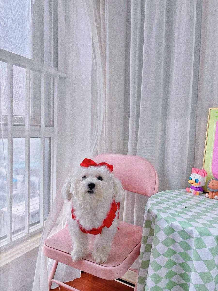 Pet's red Mickey Princess dress