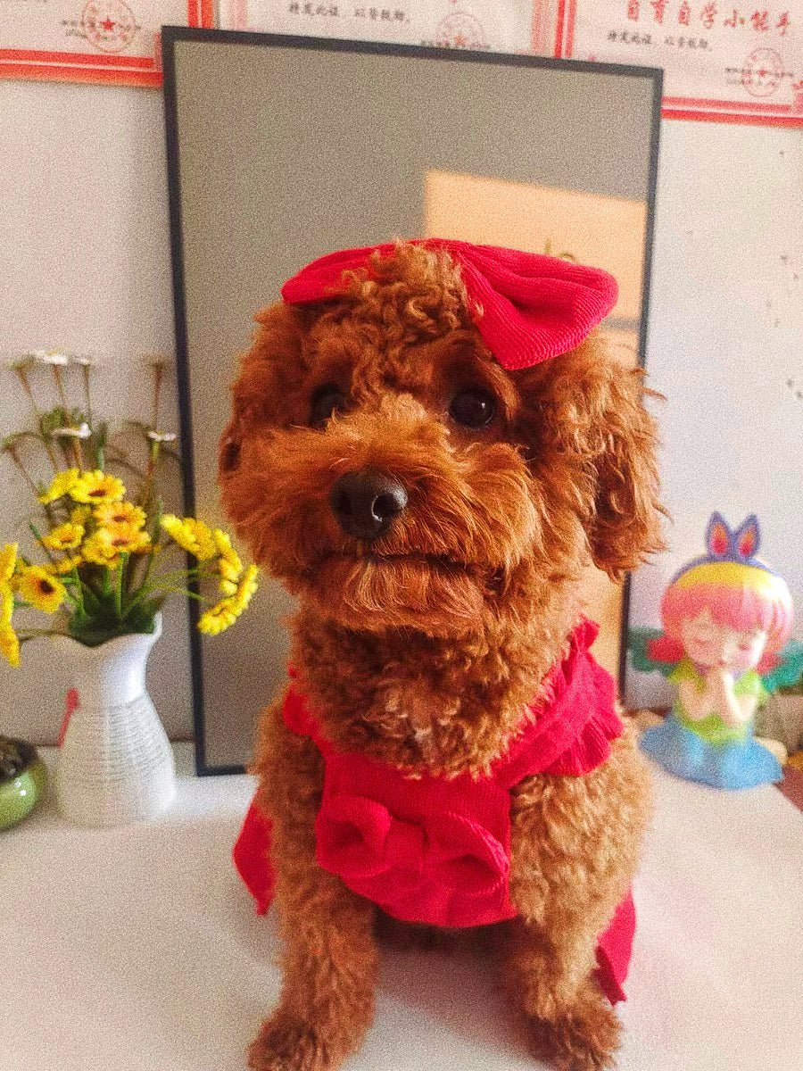 Pet's red Mickey Princess dress