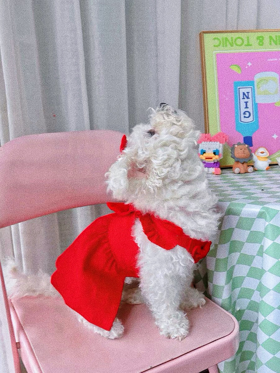 Pet's red Mickey Princess dress