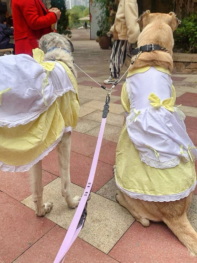 Lolita princess dress for pet dogs