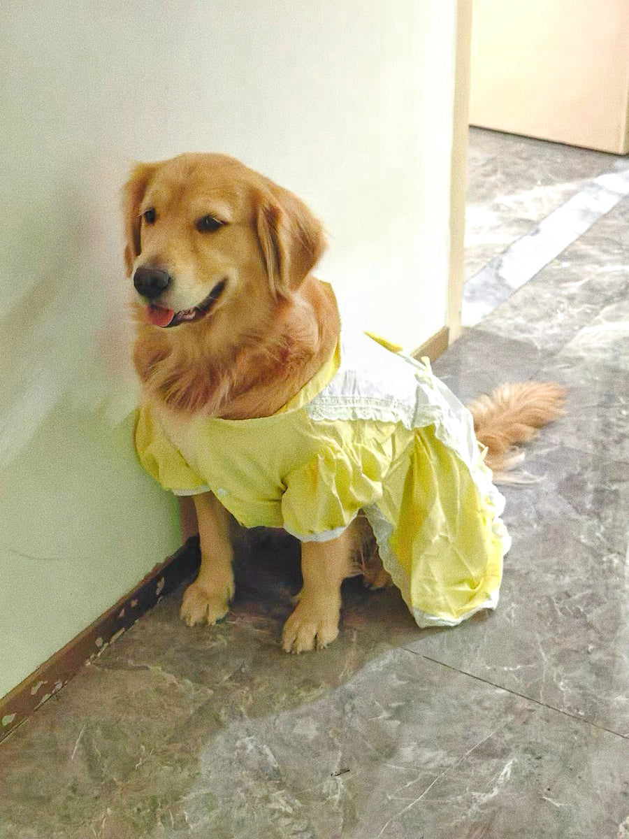 Lolita princess dress for pet dogs
