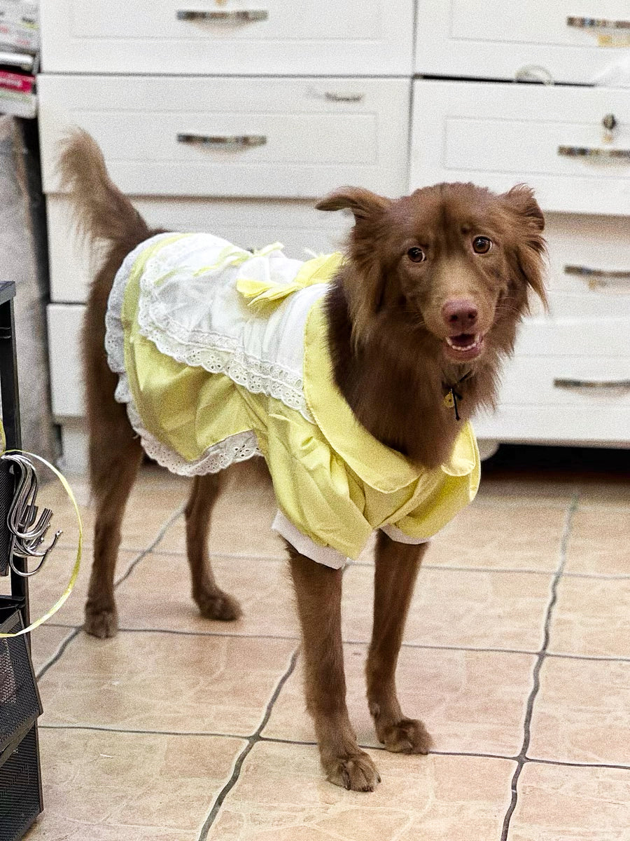 Lolita princess dress for pet dogs