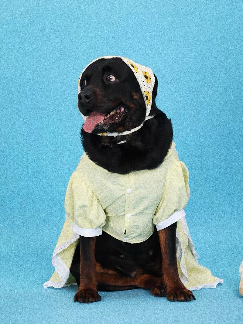 Lolita princess dress for pet dogs