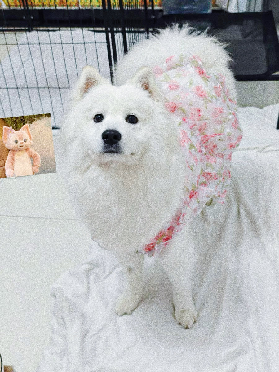 Flower lace dress for pet dog