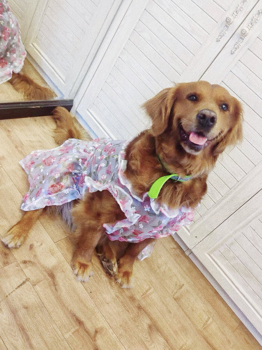 Flower lace dress for pet dog