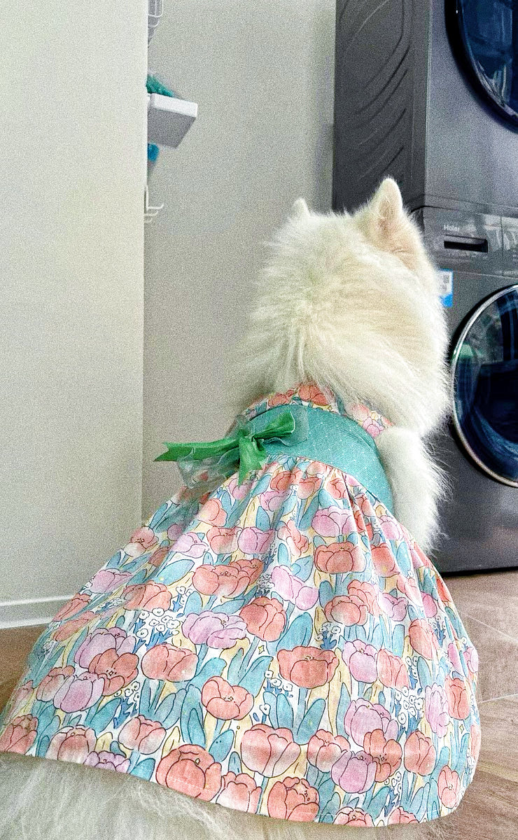 Pet dog tulip harness fairy dress